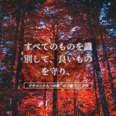 Picture 05 - テサロニケ人への第一の手紙 5:21 JPN - すべてのものを識別して、良いもの - Bible Verse Picture