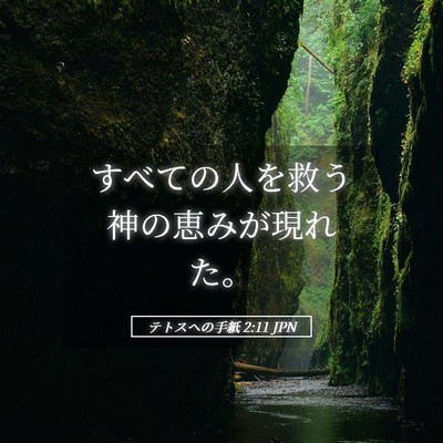 Picture 05 - テトスヘの手紙 2:11 JPN - すべての人を救う神の恵みが現れた - Bible Verse Picture