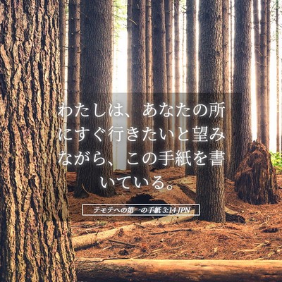 Picture 05 - テモテヘの第一の手紙 3:14 JPN - わたしは、あなたの所にすぐ行きた - Bible Verse Picture