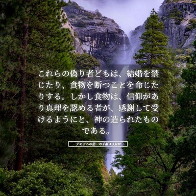 Picture 05 - テモテヘの第一の手紙 4:3 JPN - これらの偽り者どもは、結婚を禁じ - Bible Verse Picture