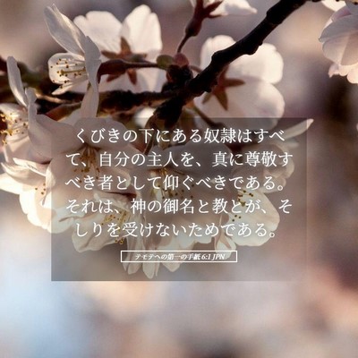 Picture 05 - テモテヘの第一の手紙 6:1 JPN - くびきの下にある奴隷はすべて、自 - Bible Verse Picture