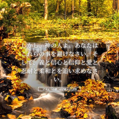 Picture 05 - テモテヘの第一の手紙 6:11 JPN - しかし、神の人よ。あなたはこれら - Bible Verse Picture