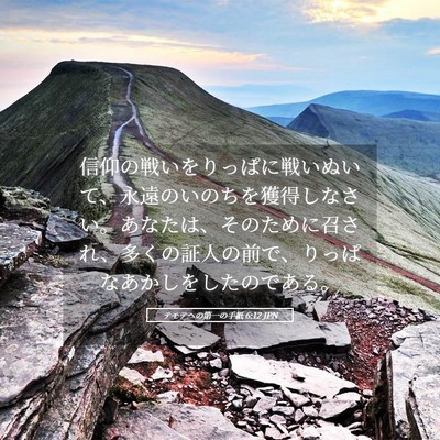 Picture 05 - テモテヘの第一の手紙 6:12 JPN - 信仰の戦いをりっぱに戦いぬいて、 - Bible Verse Picture