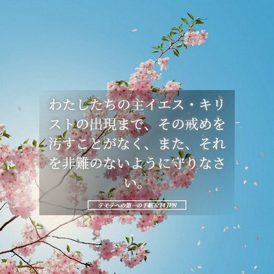 Picture 05 - テモテヘの第一の手紙 6:14 JPN - わたしたちの主イエス・キリストの - Bible Verse Picture