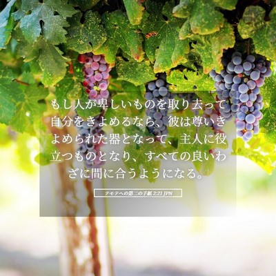 Picture 05 - テモテヘの第二の手紙 2:21 JPN - もし人が卑しいものを取り去って自 - Bible Verse Picture