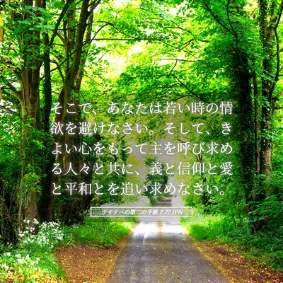 Picture 05 - テモテヘの第二の手紙 2:22 JPN - そこで、あなたは若い時の情欲を避 - Bible Verse Picture