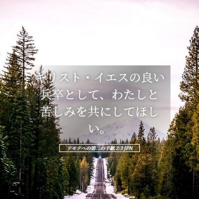 Picture 05 - テモテヘの第二の手紙 2:3 JPN - キリスト・イエスの良い兵卒として - Bible Verse Picture