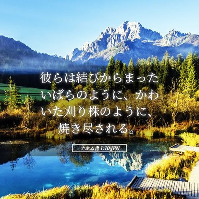 Picture 05 - ナホム書 1:10 JPN - 彼らは結びからまったいばらのよう - Bible Verse Picture