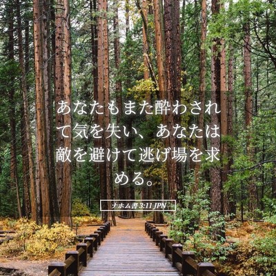 Picture 05 - ナホム書 3:11 JPN - あなたもまた酔わされて気を失い、 - Bible Verse Picture