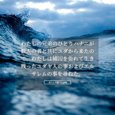 Picture 05 - ネヘミヤ記 1:2 JPN - わたしの兄弟のひとりハナニが数人 - Bible Verse Picture