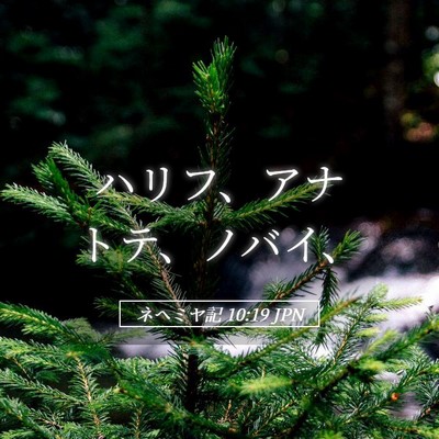 Picture 05 - ネヘミヤ記 10:19 JPN - ハリフ、アナトテ、ノバイ、 - Bible Verse Picture