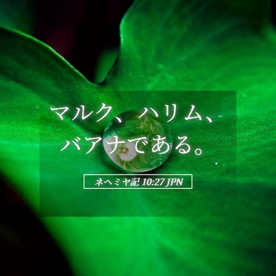 Picture 05 - ネヘミヤ記 10:27 JPN - マルク、ハリム、バアナである。 - Bible Verse Picture