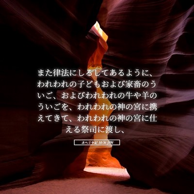 Picture 05 - ネヘミヤ記 10:36 JPN - また律法にしるしてあるように、わ - Bible Verse Picture