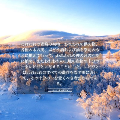 Picture 05 - ネヘミヤ記 10:37 JPN - われわれの麦粉の初物、われわれの - Bible Verse Picture