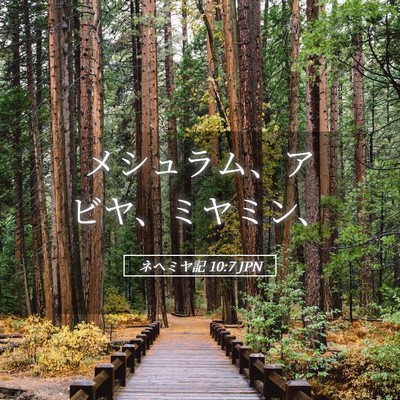 Picture 05 - ネヘミヤ記 10:7 JPN - メシュラム、アビヤ、ミヤミン、 - Bible Verse Picture