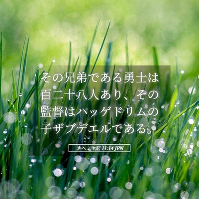 Picture 05 - ネヘミヤ記 11:14 JPN - その兄弟である勇士は百二十八人あ - Bible Verse Picture
