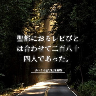 Picture 05 - ネヘミヤ記 11:18 JPN - 聖都におるレビびとは合わせて二百 - Bible Verse Picture