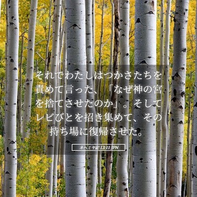Picture 05 - ネヘミヤ記 13:11 JPN - それでわたしはつかさたちを責めて - Bible Verse Picture