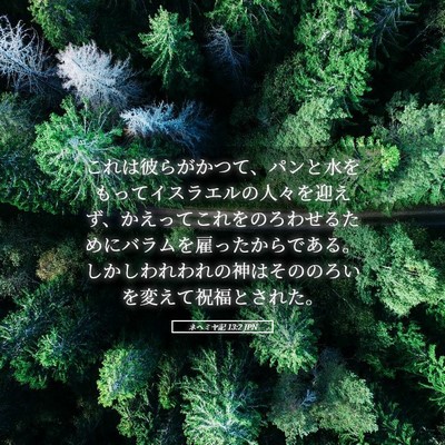Picture 05 - ネヘミヤ記 13:2 JPN - これは彼らがかつて、パンと水をも - Bible Verse Picture