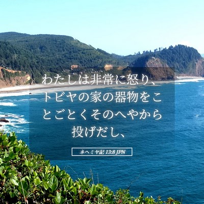 Picture 05 - ネヘミヤ記 13:8 JPN - わたしは非常に怒り、トビヤの家の - Bible Verse Picture