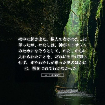 Picture 05 - ネヘミヤ記 2:12 JPN - 夜中に起き出た。数人の者がわたし - Bible Verse Picture