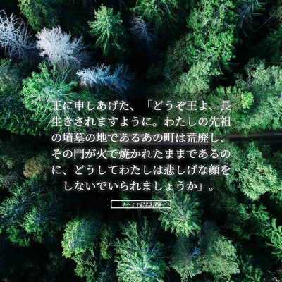 Picture 05 - ネヘミヤ記 2:3 JPN - 王に申しあげた、「どうぞ王よ、長 - Bible Verse Picture