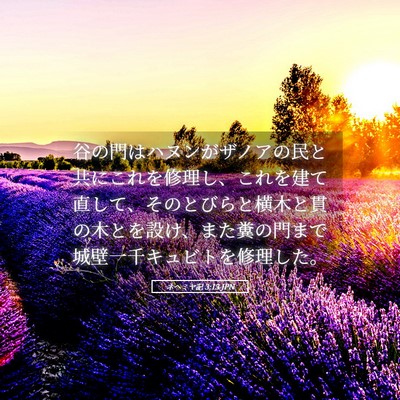 Picture 05 - ネヘミヤ記 3:13 JPN - 谷の門はハヌンがザノアの民と共に - Bible Verse Picture