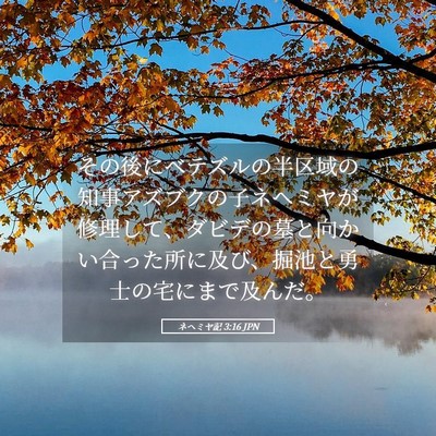Picture 05 - ネヘミヤ記 3:16 JPN - その後にベテズルの半区域の知事ア - Bible Verse Picture