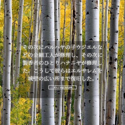 Picture 05 - ネヘミヤ記 3:8 JPN - その次にハルハヤの子ウジエルなど - Bible Verse Picture