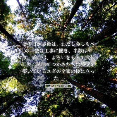Picture 05 - ネヘミヤ記 4:16 JPN - その日から後は、わたしのしもべの - Bible Verse Picture