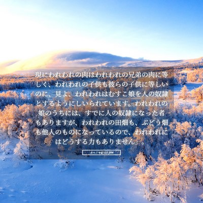 Picture 05 - ネヘミヤ記 5:5 JPN - 現にわれわれの肉はわれわれの兄弟 - Bible Verse Picture