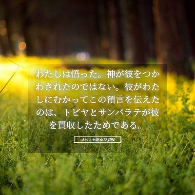 Picture 05 - ネヘミヤ記 6:12 JPN - わたしは悟った。神が彼をつかわさ - Bible Verse Picture