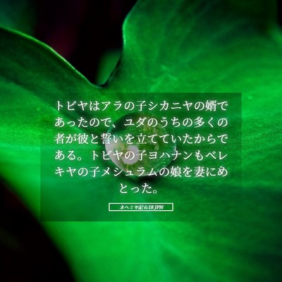Picture 05 - ネヘミヤ記 6:18 JPN - トビヤはアラの子シカニヤの婿であ - Bible Verse Picture