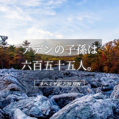 Picture 05 - ネヘミヤ記 7:20 JPN - アデンの子孫は六百五十五人。 - Bible Verse Picture