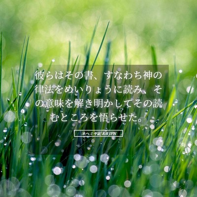 Picture 05 - ネヘミヤ記 8:8 JPN - 彼らはその書、すなわち神の律法を - Bible Verse Picture