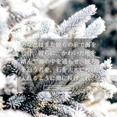Picture 05 - ネヘミヤ記 9:11 JPN - あなたはまた彼らの前で海を分け、 - Bible Verse Picture