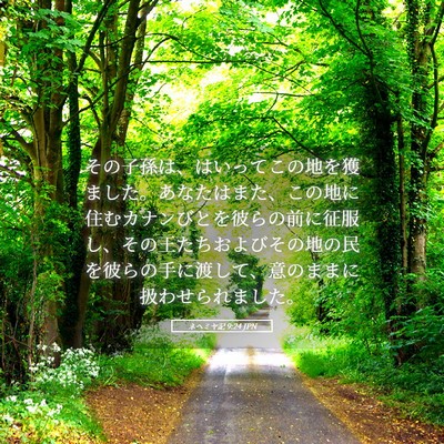 Picture 05 - ネヘミヤ記 9:24 JPN - その子孫は、はいってこの地を獲ま - Bible Verse Picture