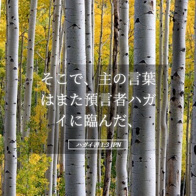 Picture 05 - ハガイ書 1:3 JPN - そこで、主の言葉はまた預言者ハガ - Bible Verse Picture