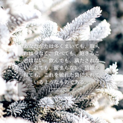 Picture 05 - ハガイ書 1:6 JPN - あなたがたは多くまいても、取入れ - Bible Verse Picture