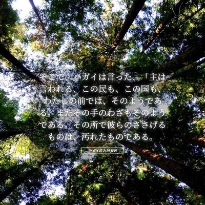 Picture 05 - ハガイ書 2:14 JPN - そこで、ハガイは言った、「主は言 - Bible Verse Picture