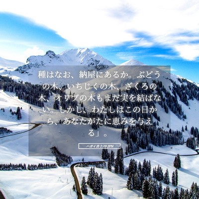 Picture 05 - ハガイ書 2:19 JPN - 種はなお、納屋にあるか。ぶどうの - Bible Verse Picture