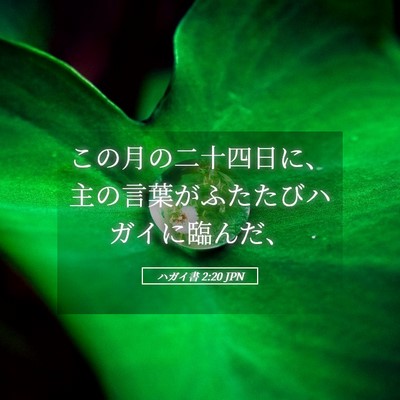 Picture 05 - ハガイ書 2:20 JPN - この月の二十四日に、主の言葉がふ - Bible Verse Picture