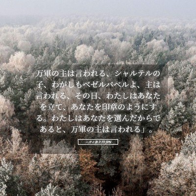 Picture 05 - ハガイ書 2:23 JPN - 万軍の主は言われる、シャルテルの - Bible Verse Picture
