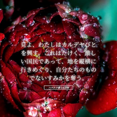 Picture 05 - ハバクク書 1:6 JPN - 見よ、わたしはカルデヤびとを興す - Bible Verse Picture