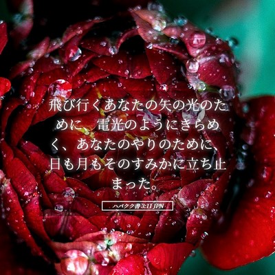 Picture 05 - ハバクク書 3:11 JPN - 飛び行くあなたの矢の光のために、 - Bible Verse Picture
