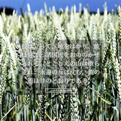 Picture 05 - ハバクク書 3:6 JPN - 彼は立って、地をはかり、彼は見て - Bible Verse Picture