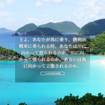 Picture 05 - ハバクク書 3:8 JPN - 主よ、あなたが馬に乗り、勝利の戦 - Bible Verse Picture