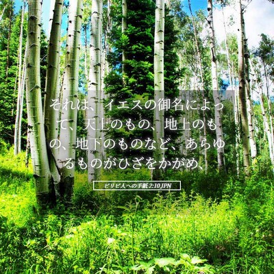 Picture 05 - ピリピ人への手紙 2:10 JPN - それは、イエスの御名によって、天 - Bible Verse Picture