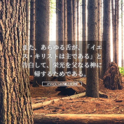 Picture 05 - ピリピ人への手紙 2:11 JPN - また、あらゆる舌が、「イエス・キ - Bible Verse Picture