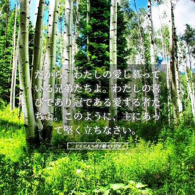 Picture 05 - ピリピ人への手紙 4:1 JPN - だから、わたしの愛し慕っている兄 - Bible Verse Picture